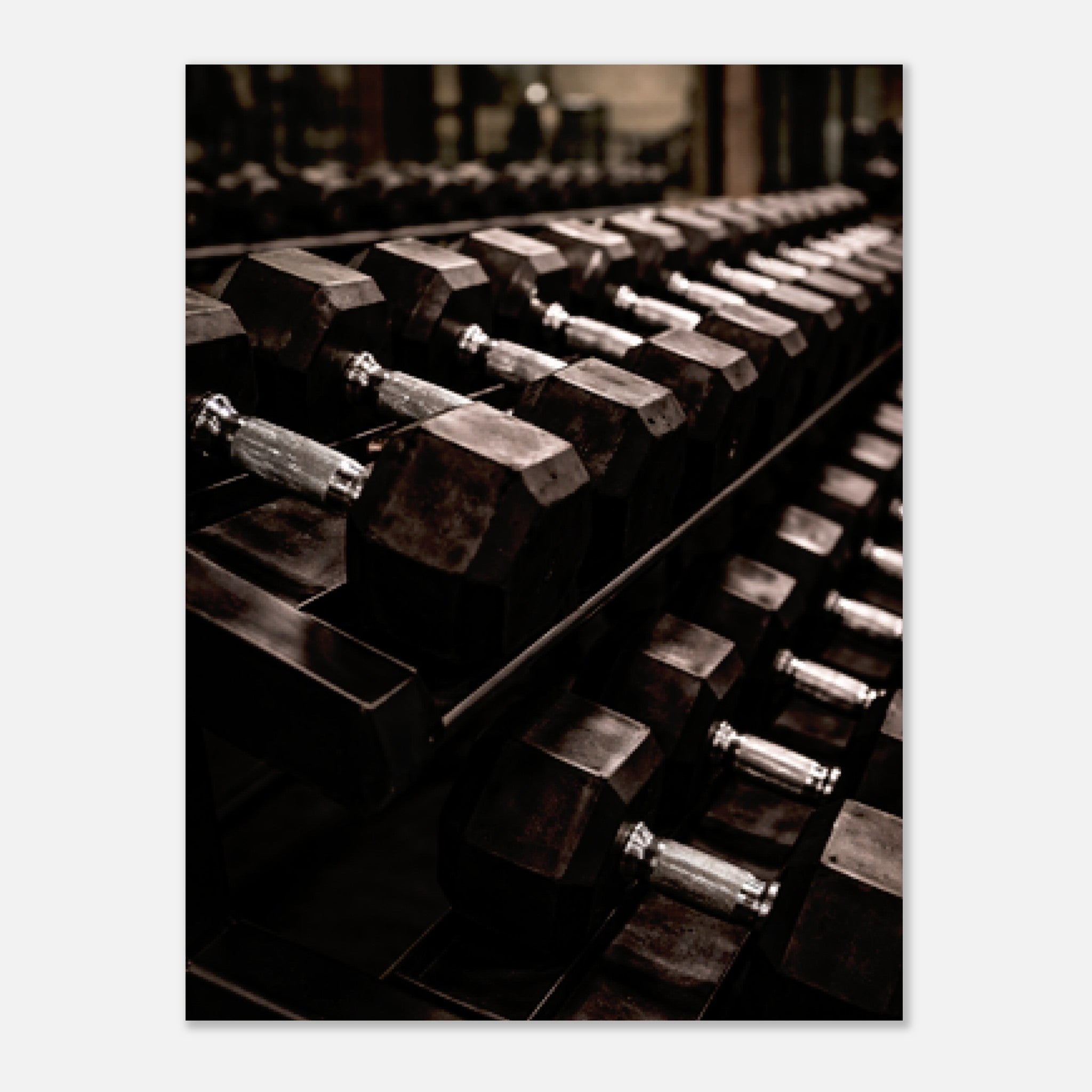 0ec46b44-6596-419c-9e93-299391a41746