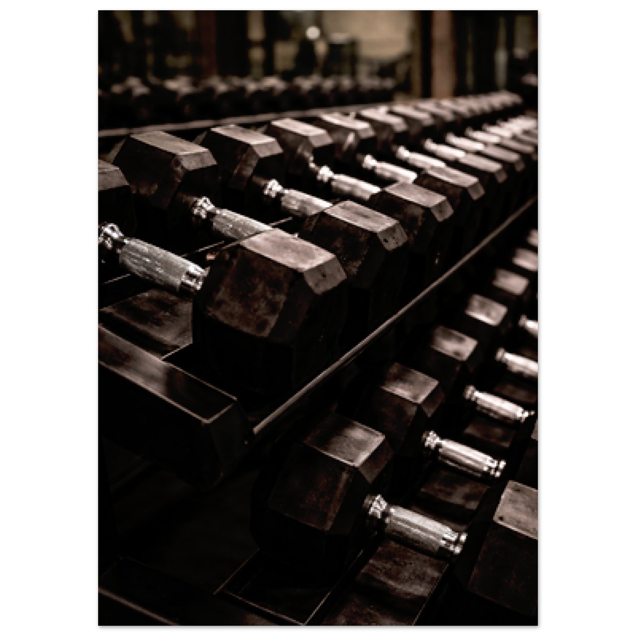 253cf555-80b0-469a-aaa3-1fbfc39062e2