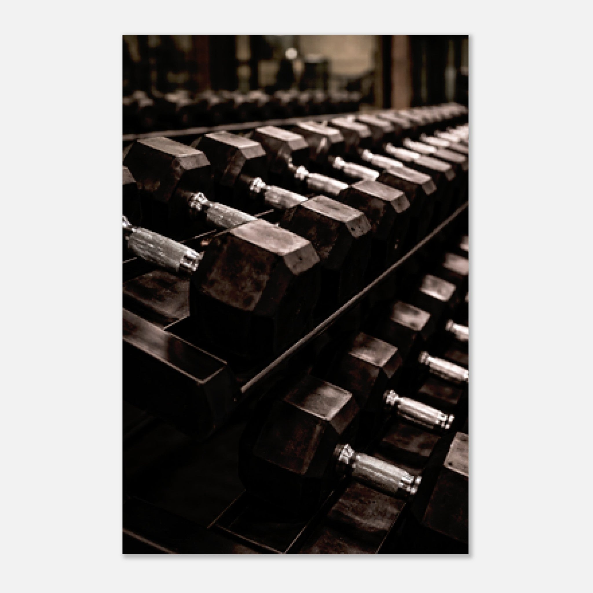 3543938d-2447-457f-be8d-cffac5f78045