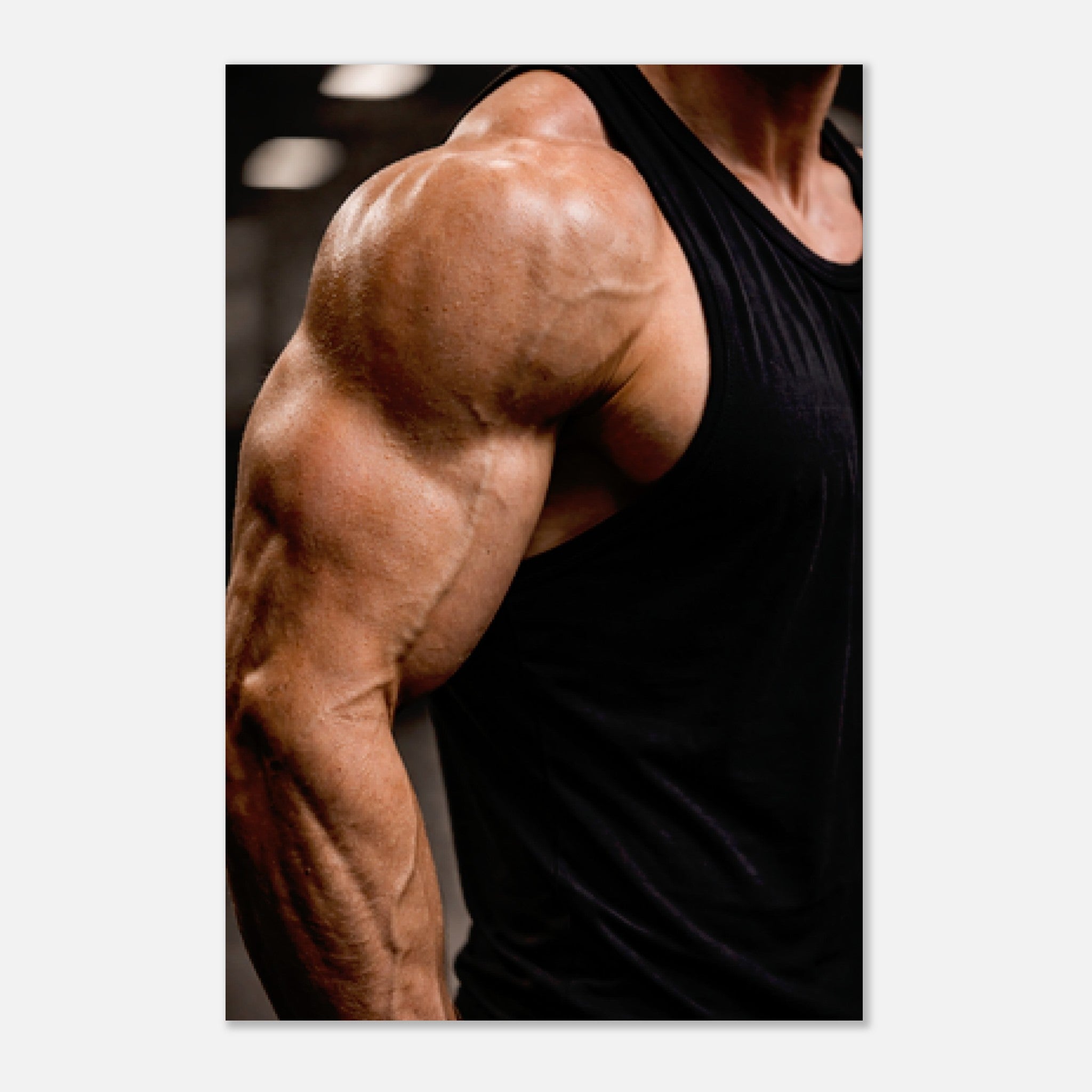 9251fa14-b064-4fa6-8e6e-41f0d2be0149