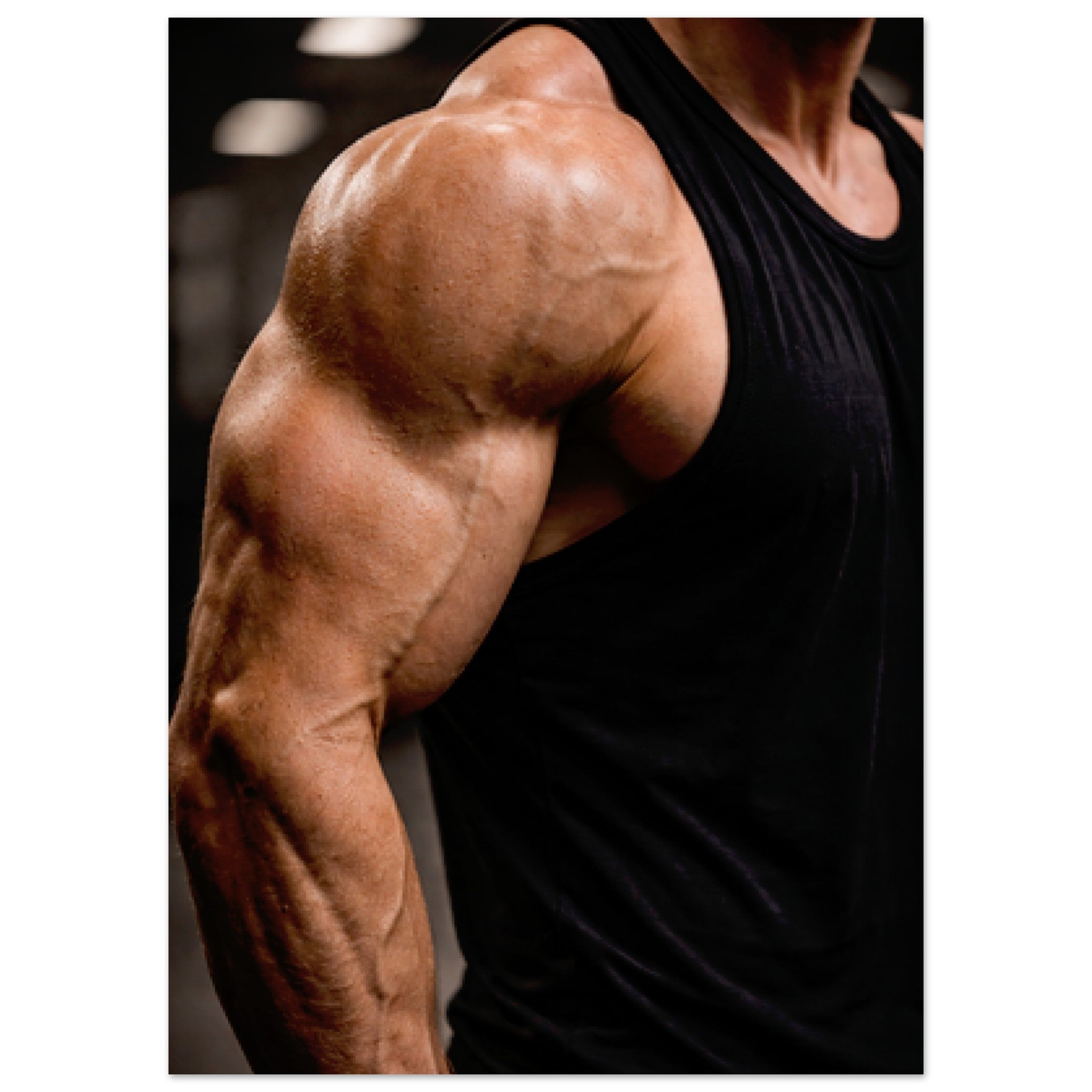 c8778b36-b456-4939-9d9f-c6bd3f0caea9