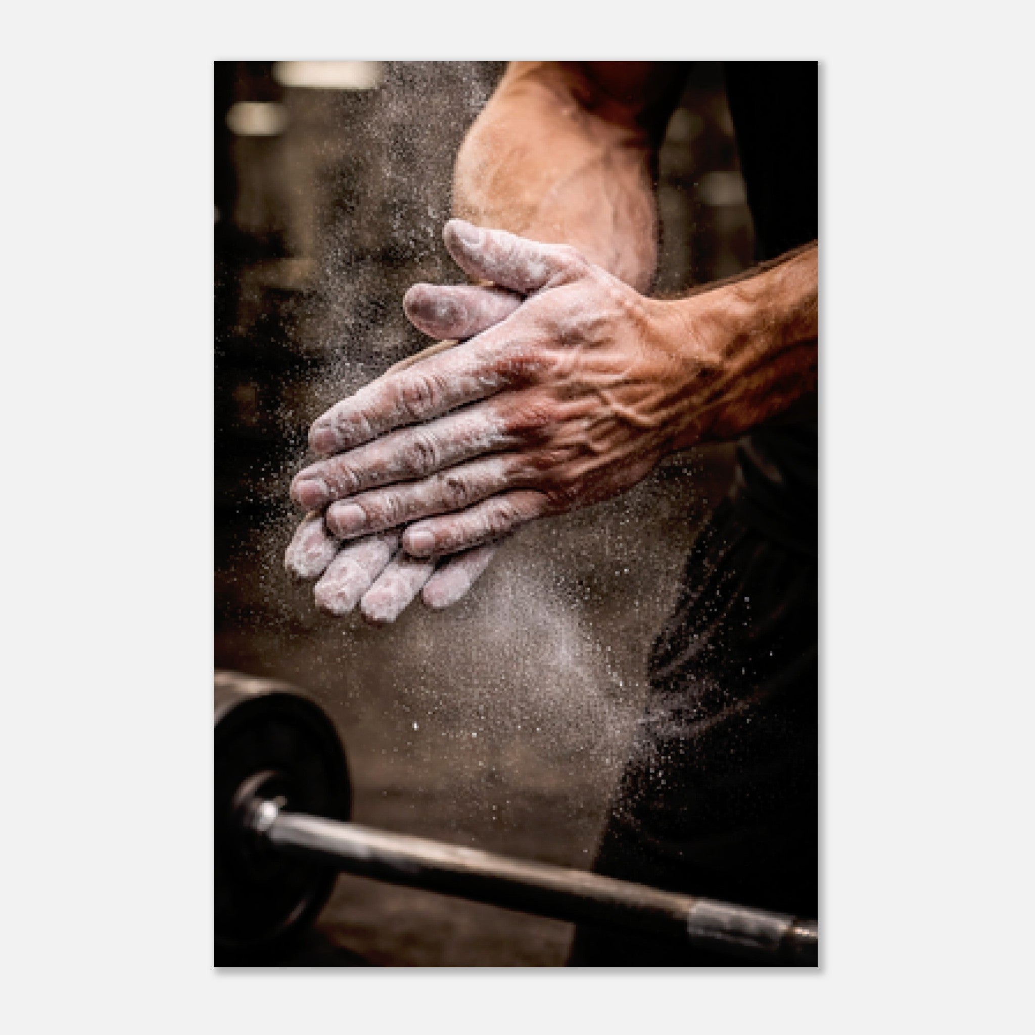 cb58704f-aa9a-4d92-bedb-3bc03072a58d